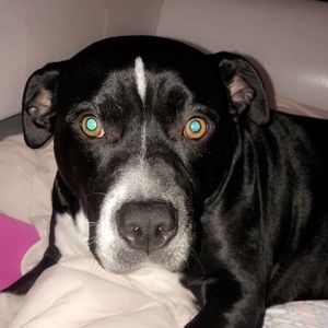 Meet your Posher, Allison